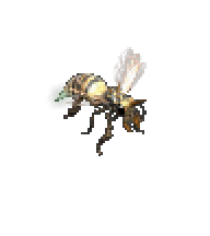 킬러비