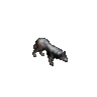 늑대