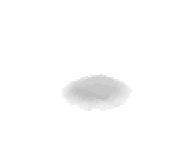 실루엣